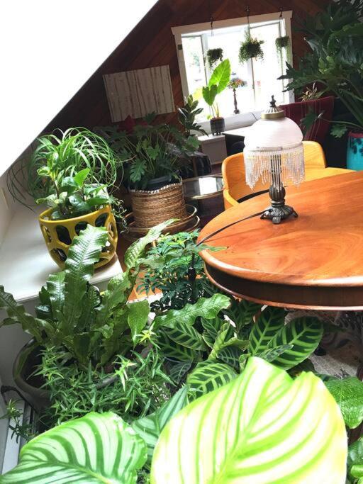 Urban Oasis In Hope Village Providence Ngoại thất bức ảnh