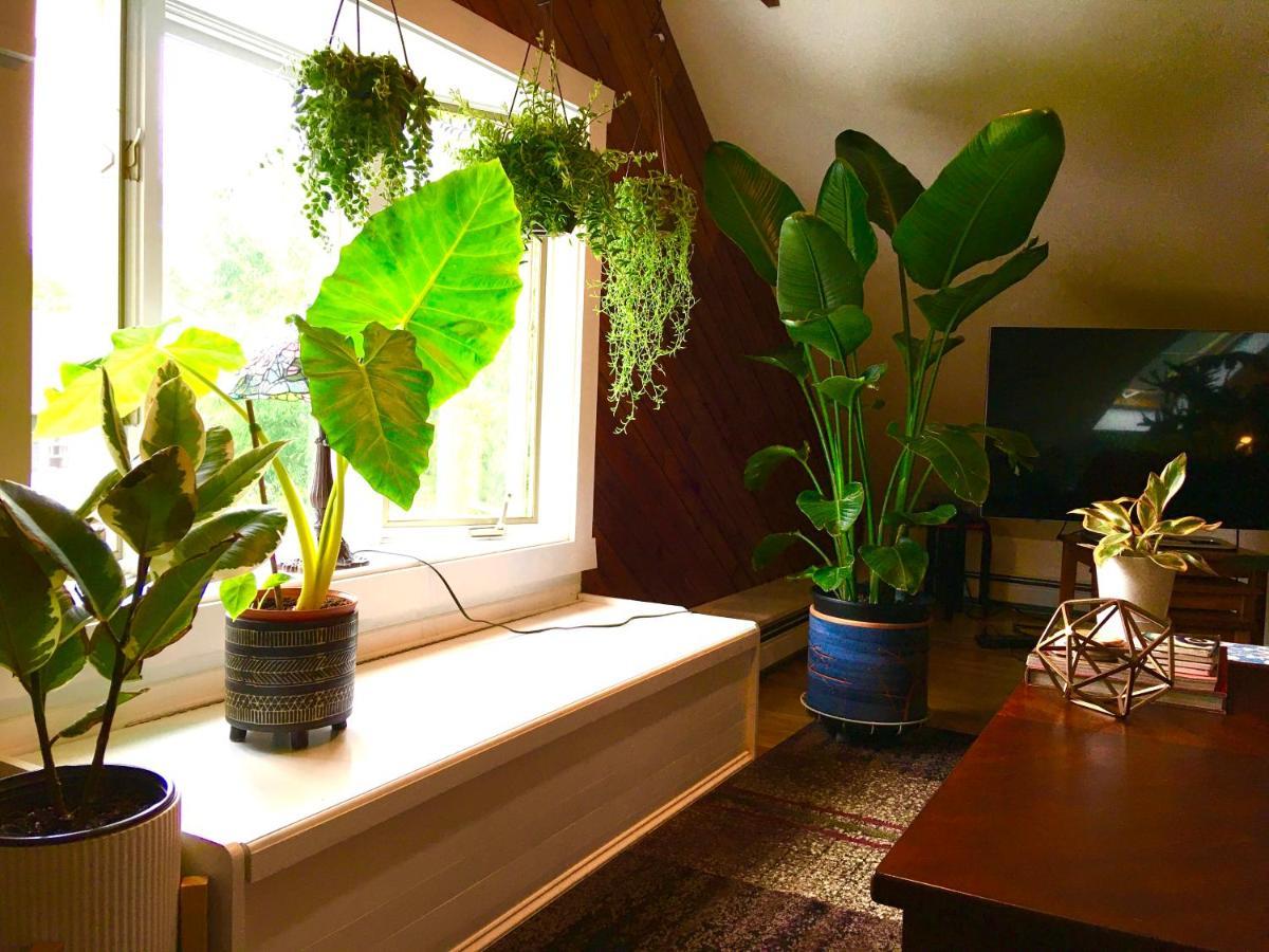 Urban Oasis In Hope Village Providence Ngoại thất bức ảnh